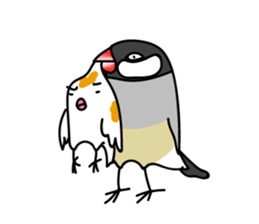 Three Birds -- close friends ?? -- sticker #11489859