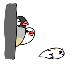 Three Birds -- close friends ?? -- sticker #11489862