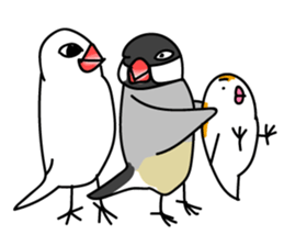 Three Birds -- close friends ?? -- sticker #11489865
