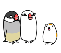 Three Birds -- close friends ?? -- sticker #11489866
