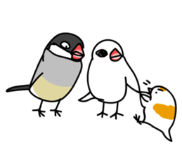 Three Birds -- close friends ?? -- sticker #11489869