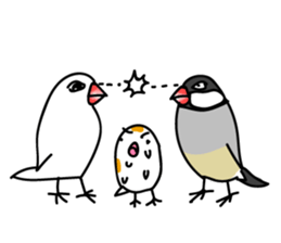 Three Birds -- close friends ?? -- sticker #11489870