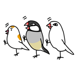 Three Birds -- close friends ?? -- sticker #11489871