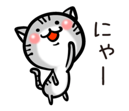 TARO cat sticker #11490352