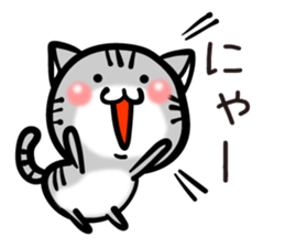 TARO cat sticker #11490356