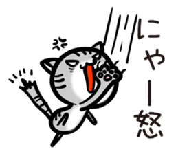 TARO cat sticker #11490360
