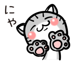 TARO cat sticker #11490361
