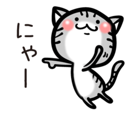 TARO cat sticker #11490366