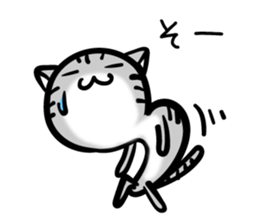 TARO cat sticker #11490372