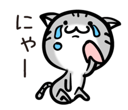 TARO cat sticker #11490373
