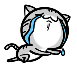 TARO cat sticker #11490374