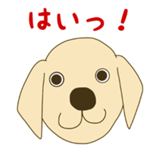 Labrador Retrievers' cute expressions 2 sticker #11490593