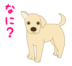 Labrador Retrievers' cute expressions 2 sticker #11490594
