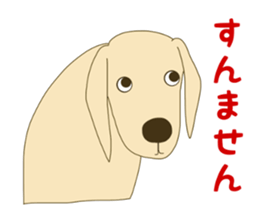 Labrador Retrievers' cute expressions 2 sticker #11490597