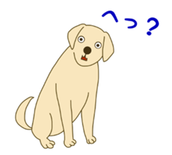 Labrador Retrievers' cute expressions 2 sticker #11490598