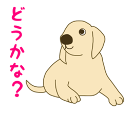 Labrador Retrievers' cute expressions 2 sticker #11490608