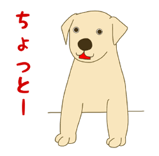 Labrador Retrievers' cute expressions 2 sticker #11490612