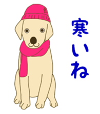 Labrador Retrievers' cute expressions 2 sticker #11490622