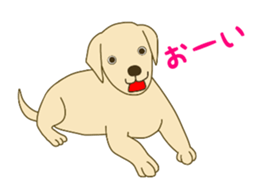 Labrador Retrievers' cute expressions 2 sticker #11490623