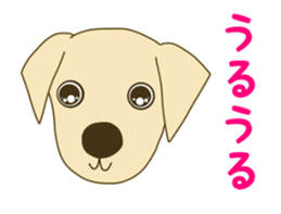 Labrador Retrievers' cute expressions 2 sticker #11490624