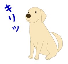 Labrador Retrievers' cute expressions 2 sticker #11490627