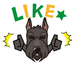 iinu - Giant Schnauzer sticker #11490636