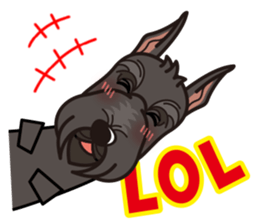 iinu - Giant Schnauzer sticker #11490637