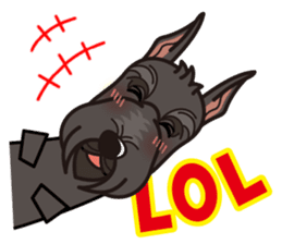 iinu - Giant Schnauzer sticker #11490637