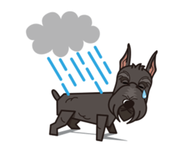 iinu - Giant Schnauzer sticker #11490639