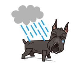 iinu - Giant Schnauzer sticker #11490639