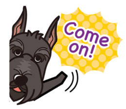 iinu - Giant Schnauzer sticker #11490641