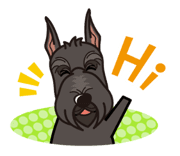 iinu - Giant Schnauzer sticker #11490642