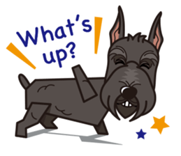 iinu - Giant Schnauzer sticker #11490647