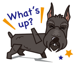 iinu - Giant Schnauzer sticker #11490647