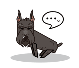 iinu - Giant Schnauzer sticker #11490649