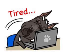 iinu - Giant Schnauzer sticker #11490651