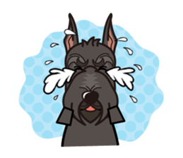 iinu - Giant Schnauzer sticker #11490654
