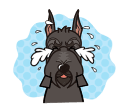 iinu - Giant Schnauzer sticker #11490654