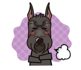 iinu - Giant Schnauzer sticker #11490664