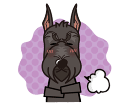 iinu - Giant Schnauzer sticker #11490664