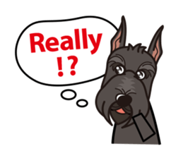 iinu - Giant Schnauzer sticker #11490670