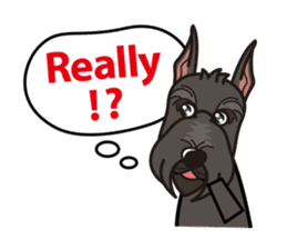 iinu - Giant Schnauzer sticker #11490670