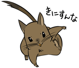 Degus that Noel 2 sticker #11491037