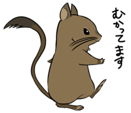 Degus that Noel 2 sticker #11491064