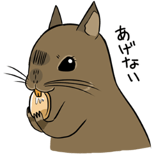 Degus that Noel 2 sticker #11491069