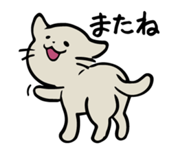 Cat to the daily conversation sticker #11491076