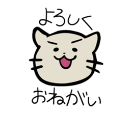 Cat to the daily conversation sticker #11491085