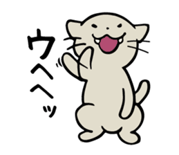 Cat to the daily conversation sticker #11491102