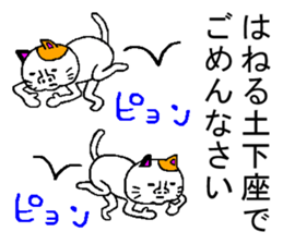 very strange cat4 sticker #11491416