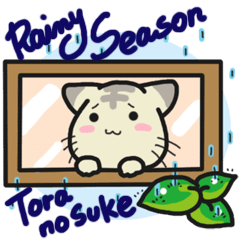 Small room of Toranosuke "rainy season"